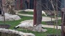 20160309_120945