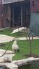 20160309_120540