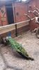 20160309_120410