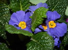DSCN0124