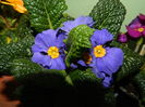 DSCN0125