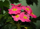 DSCN0126