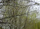 DSCN0179