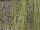 DSCN0186