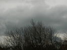 DSCN0196