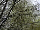 DSCN0199