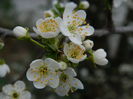 DSCN0203