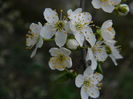 DSCN0207