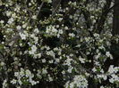 DSCN0209