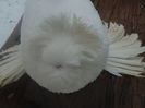 DSC07489