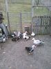 IMG_20160306_170159