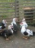 IMG_20160306_170307