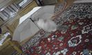 20160310_202326