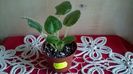 WP_20160310_18_00_11_Pro