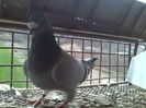IMG_20160310_155729