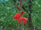 DSC04265