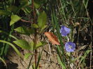 DSC04303