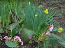 DSCN0265