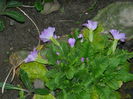 DSCN0267