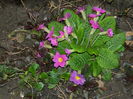DSCN0270