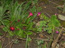 DSCN0271