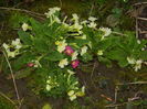 DSCN0272