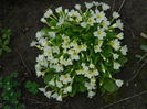 DSCN0274