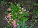 DSCN0275