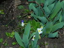 DSCN0276