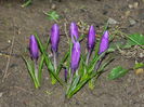 DSCN0282