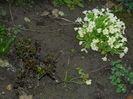 DSCN0283