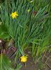 DSCN0285