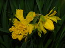 DSCN0287