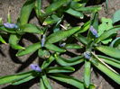 DSCN0290