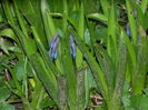 DSCN0308