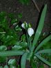 DSCN0309