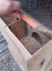 20160311_171450