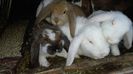 IMG_20160311_180408