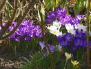 9 mart (10)