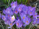 9 mart (12)