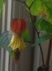 20160307_165922