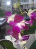 20160312_095401