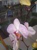 20160312_095503