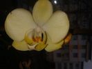 20160312_095547
