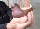 SAM_0654