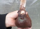 SAM_0657