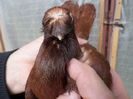 SAM_0662