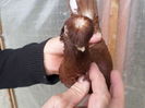 SAM_0669