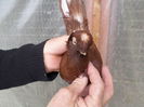 SAM_0670