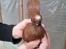 SAM_0676